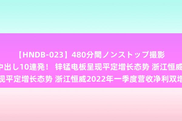 【HNDB-023】480分間ノンストップ撮影 ノーカット編集で本物中出し10連発！ 锌锰电板呈现平定增长态势 浙江恒威2022年一季度营收净利双增