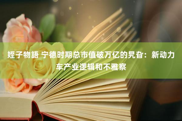 姪子物語 宁德时期总市值破万亿的旯旮：新动力车产业逻辑和不雅察