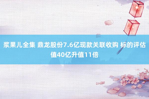 浆果儿全集 鼎龙股份7.6亿现款关联收购 标的评估值40亿升值11倍