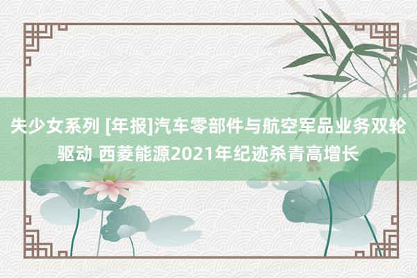 失少女系列 [年报]汽车零部件与航空军品业务双轮驱动 西菱能源2021年纪迹杀青高增长