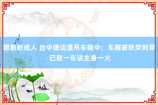 狠狠射成人 台中捷运遭吊车砸中：车厢被铁架刺穿 已致一东谈主身一火