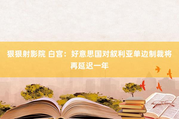 狠狠射影院 白宫：好意思国对叙利亚单边制裁将再延迟一年