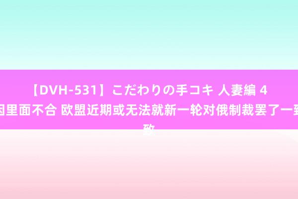 【DVH-531】こだわりの手コキ 人妻編 4 因里面不合 欧盟近期或无法就新一轮对俄制裁罢了一致