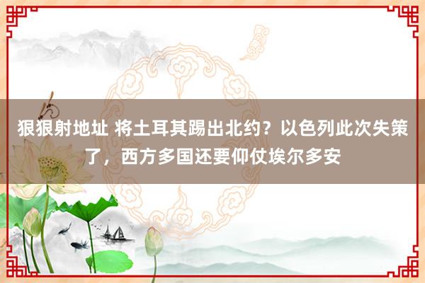 狠狠射地址 将土耳其踢出北约？以色列此次失策了，西方多国还要仰仗埃尔多安