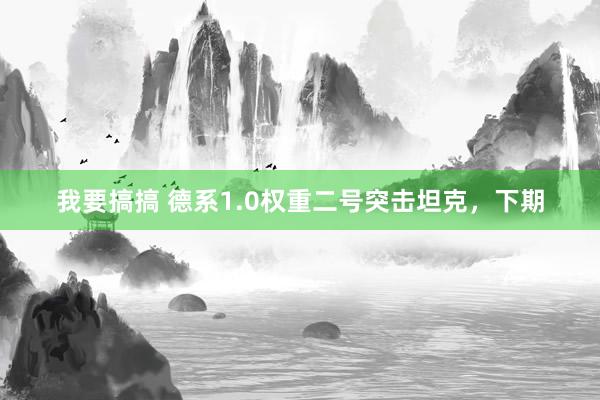 我要搞搞 德系1.0权重二号突击坦克，下期