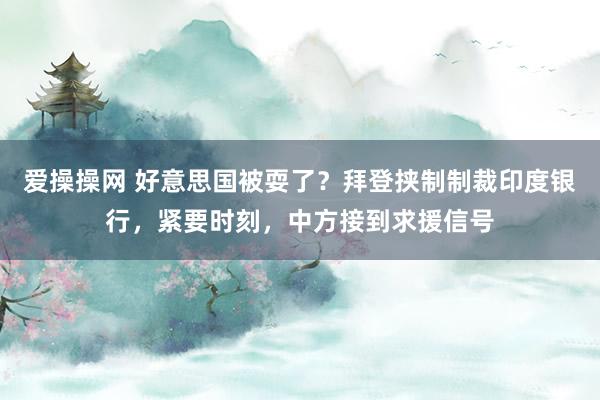 爱操操网 好意思国被耍了？拜登挟制制裁印度银行，紧要时刻，中方接到求援信号