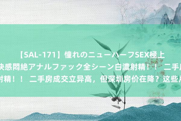 【SAL-171】憧れのニューハーフSEX極上射精タイム イキまくり快感悶絶アナルファック全シーン白濃射精！！ 二手房成交立异高，但深圳房价在降？这些片区报价涨了