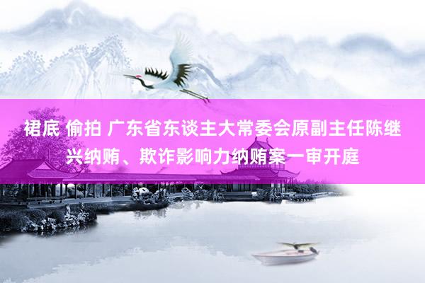 裙底 偷拍 广东省东谈主大常委会原副主任陈继兴纳贿、欺诈影响力纳贿案一审开庭