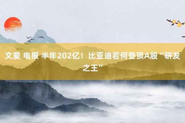 文爱 电报 半年202亿！比亚迪若何登顶A股“研发之王”