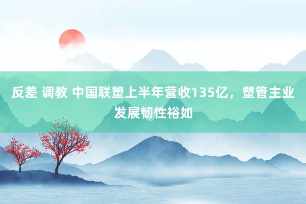 反差 调教 中国联塑上半年营收135亿，塑管主业发展韧性裕如