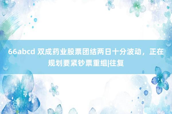 66abcd 双成药业股票团结两日十分波动，正在规划要紧钞票重组|往复