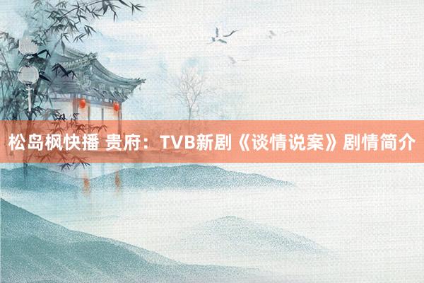 松岛枫快播 贵府：TVB新剧《谈情说案》剧情简介