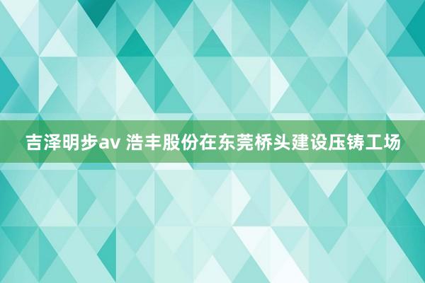 吉泽明步av 浩丰股份在东莞桥头建设压铸工场